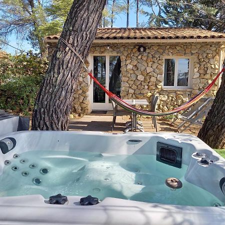 GITE AVEC SPA JACUZZI au cœur de Provence Côte d'Azur Saint-Antonin-du-Var Exterior foto